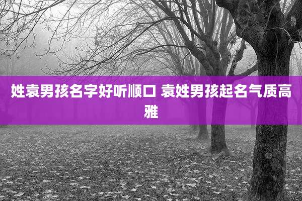姓袁男孩名字好听顺口 袁姓男孩起名气质高雅