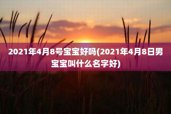 2021年4月8号宝宝好吗(2021年4月8日男宝宝叫什么名字好)