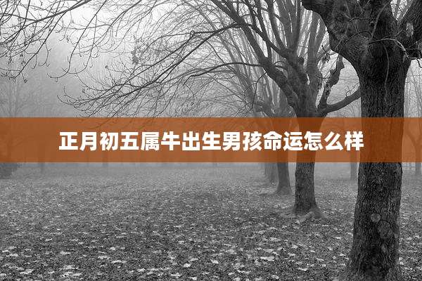 正月初五属牛出生男孩命运怎么样