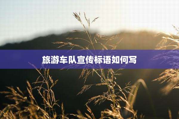 旅游车队宣传标语如何写