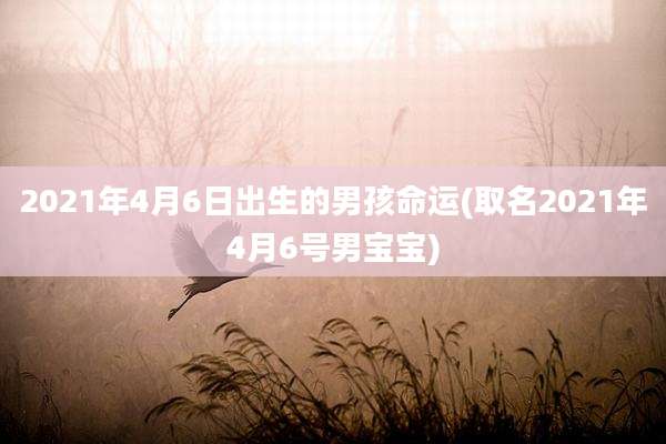 2021年4月6日出生的男孩命运(取名2021年4月6号男宝宝)