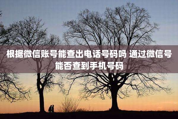 根据微信账号能查出电话号码吗 通过微信号能否查到手机号码