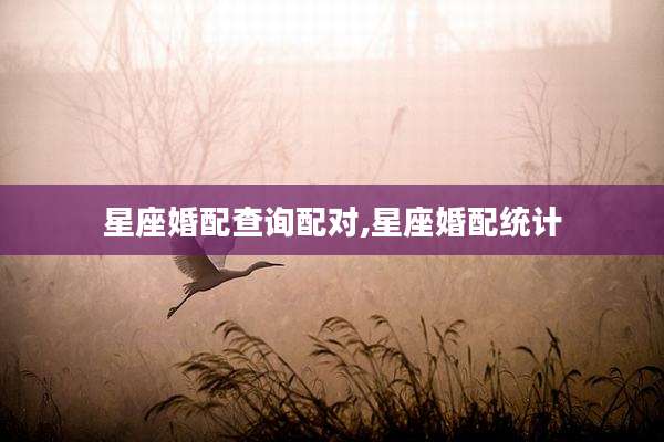 星座婚配查询配对,星座婚配统计