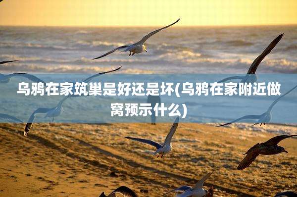 乌鸦在家筑巢是好还是坏(乌鸦在家附近做窝预示什么)