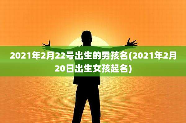 2021年2月22号出生的男孩名(2021年2月20日出生女孩起名)