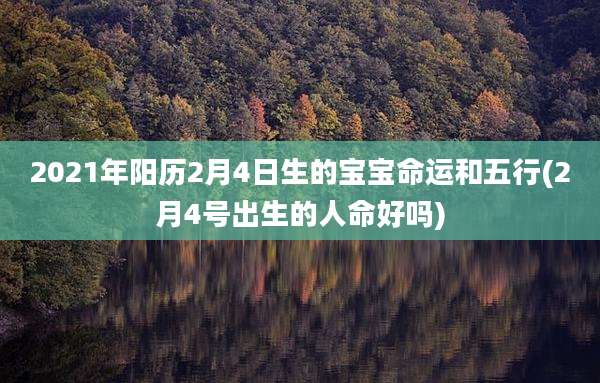 2021年阳历2月4日生的宝宝命运和五行(2月4号出生的人命好吗)