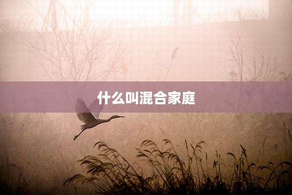 什么叫混合家庭