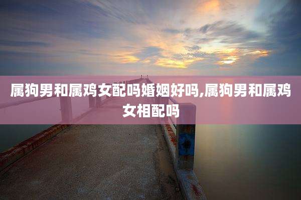 属狗男和属鸡女配吗婚姻好吗,属狗男和属鸡女相配吗
