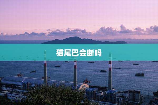 猫尾巴会断吗
