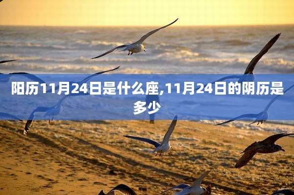 阳历11月24日是什么座,11月24日的阴历是多少