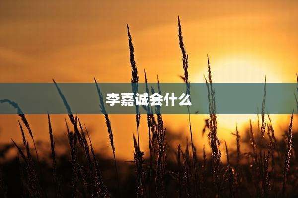 李嘉诚会什么