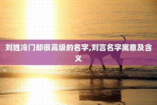 刘姓冷门却很高级的名字,刘言名字寓意及含义