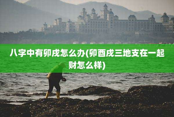 八字中有卯戌怎么办(卯酉戌三地支在一起财怎么样)