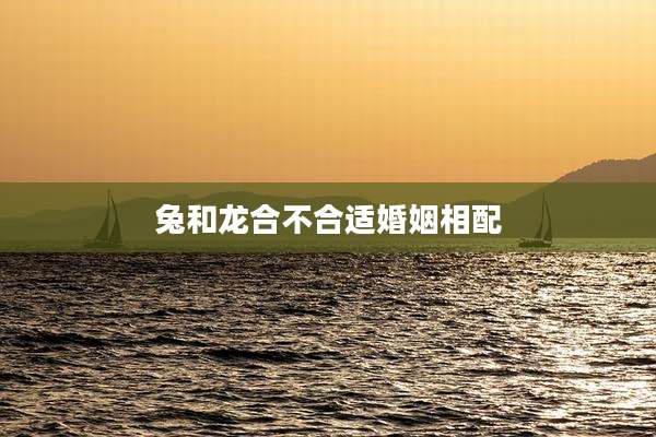 兔和龙合不合适婚姻相配