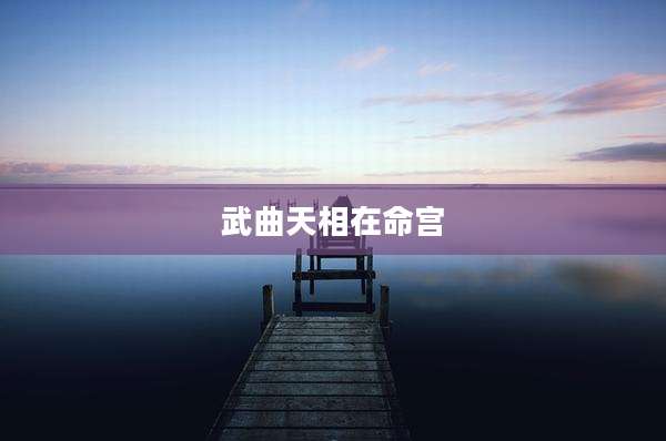 武曲天相在命宫