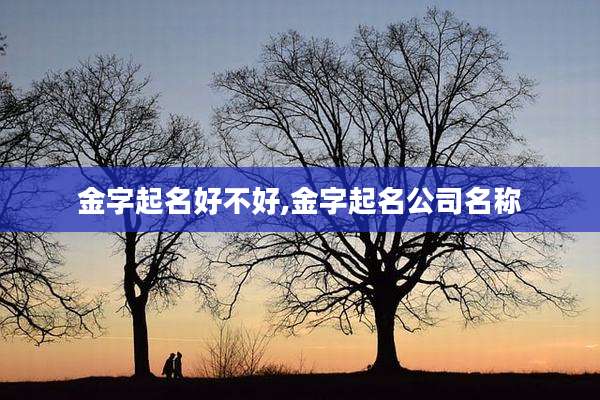 金字起名好不好,金字起名公司名称