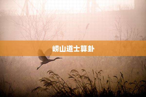 崂山道士算卦