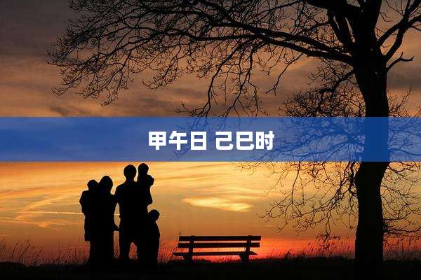甲午日 己巳时