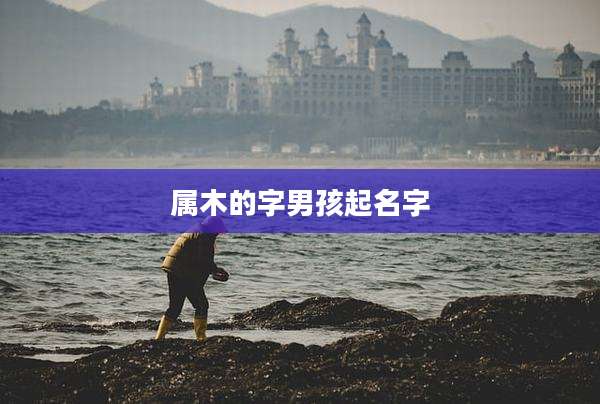 属木的字男孩起名字