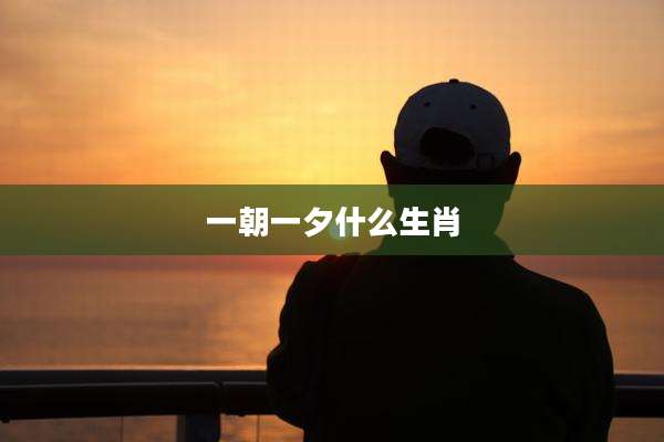 一朝一夕什么生肖