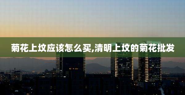 菊花上坟应该怎么买,清明上坟的菊花批发