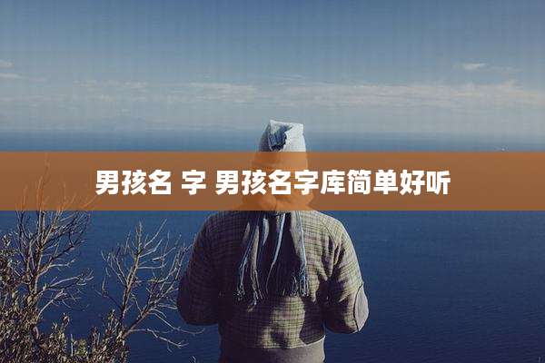 男孩名 字 男孩名字库简单好听