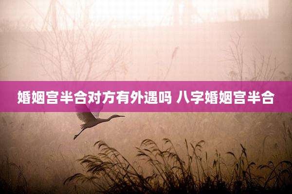 婚姻宫半合对方有外遇吗 八字婚姻宫半合