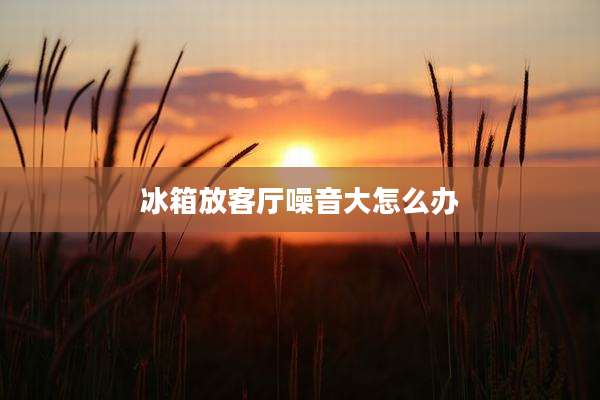 冰箱放客厅噪音大怎么办
