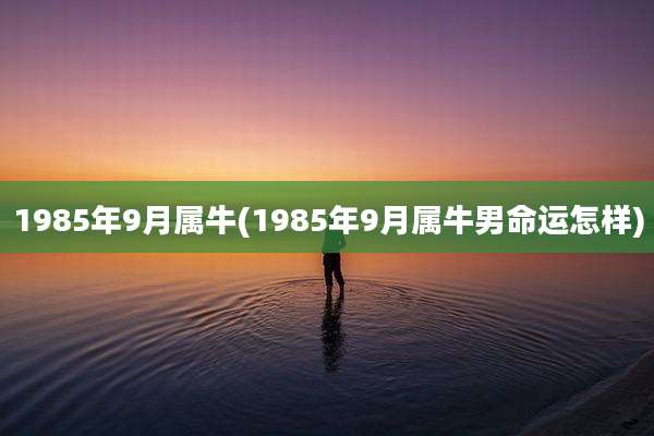 1985年9月属牛(1985年9月属牛男命运怎样)