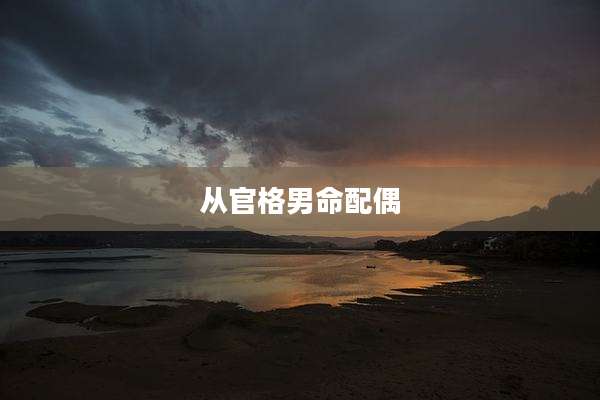 从官格男命配偶