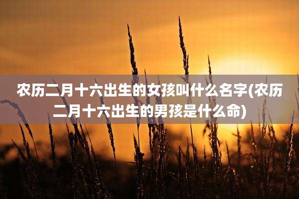 农历二月十六出生的女孩叫什么名字(农历二月十六出生的男孩是什么命)