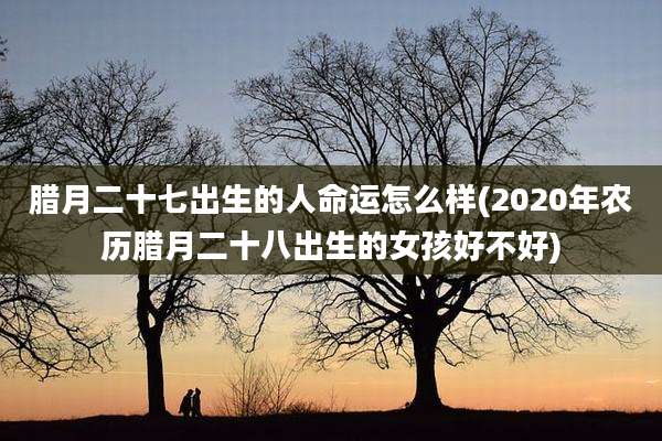 腊月二十七出生的人命运怎么样(2020年农历腊月二十八出生的女孩好不好)