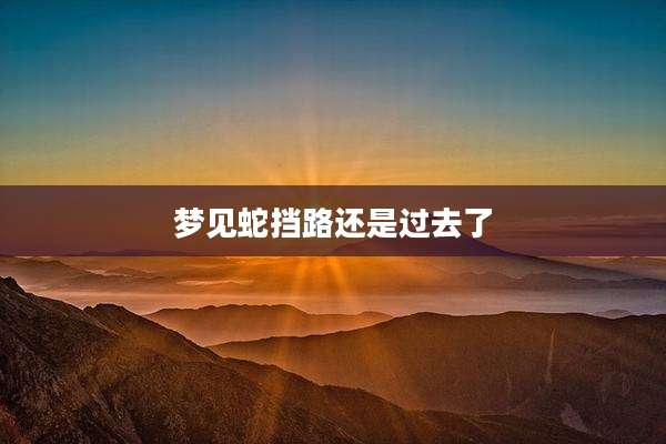 梦见蛇挡路还是过去了
