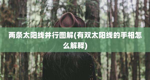两条太阳线并行图解(有双太阳线的手相怎么解释)