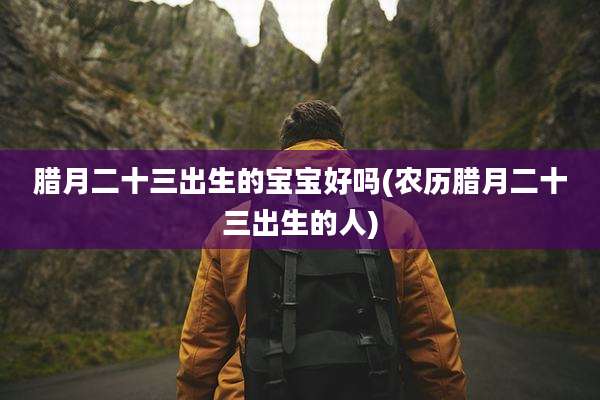 腊月二十三出生的宝宝好吗(农历腊月二十三出生的人)