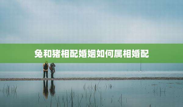 兔和猪相配婚姻如何属相婚配