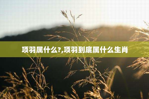 项羽属什么?,项羽到底属什么生肖