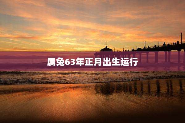 属兔63年正月出生运行