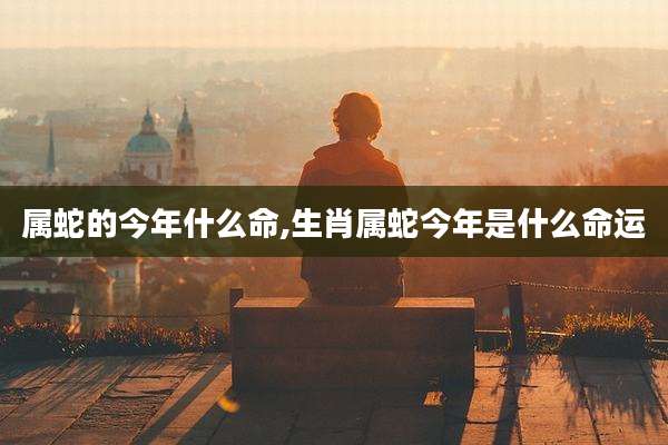 属蛇的今年什么命,生肖属蛇今年是什么命运