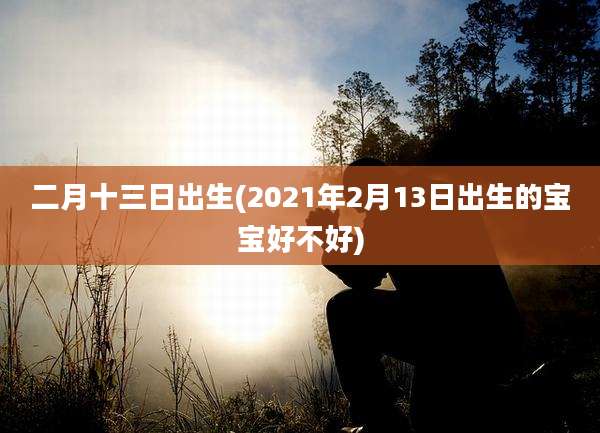 二月十三日出生(2021年2月13日出生的宝宝好不好)