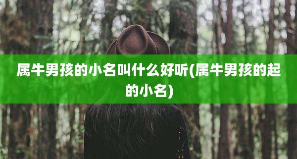 属牛男孩的小名叫什么好听(属牛男孩的起的小名)