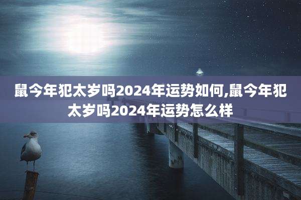 鼠今年犯太岁吗2024年运势如何,鼠今年犯太岁吗2024年运势怎么样