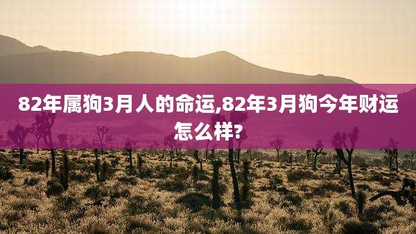 82年属狗3月人的命运,82年3月狗今年财运怎么样?