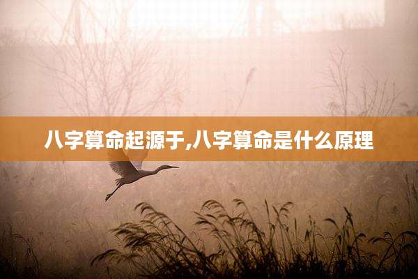 八字算命起源于,八字算命是什么原理