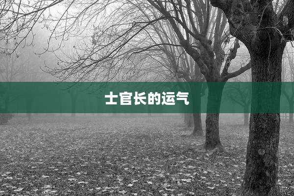 士官长的运气