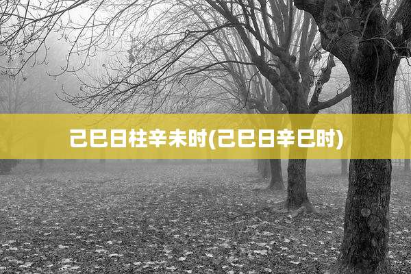 己巳日柱辛未时(己巳日辛巳时)