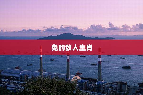 兔的敌人生肖