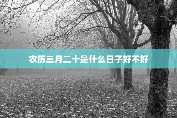 农历三月二十是什么日子好不好