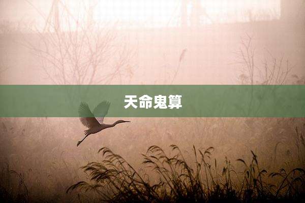 天命鬼算