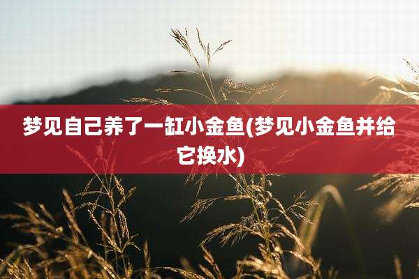梦见自己养了一缸小金鱼(梦见小金鱼并给它换水)